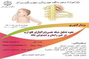 برنامه حضوری نحوه تشکیل شبکه عصبی ( براکیال) و فلج ارب در حین زایمان و دیستوشی شانه